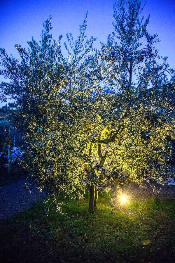Agriturismo I Roseti Montepulciano Ngoại thất bức ảnh