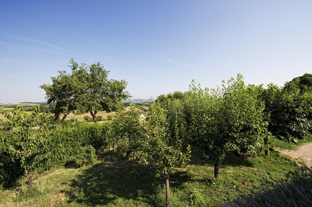 Agriturismo I Roseti Montepulciano Phòng bức ảnh