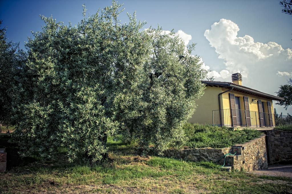 Agriturismo I Roseti Montepulciano Ngoại thất bức ảnh