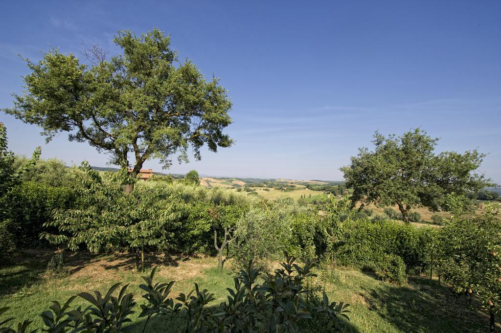 Agriturismo I Roseti Montepulciano Phòng bức ảnh