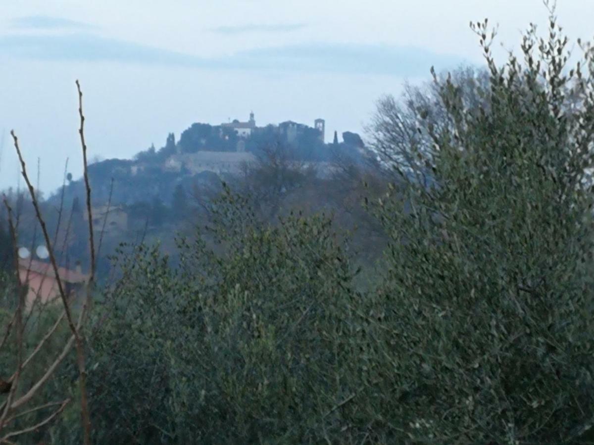 Agriturismo I Roseti Montepulciano Ngoại thất bức ảnh