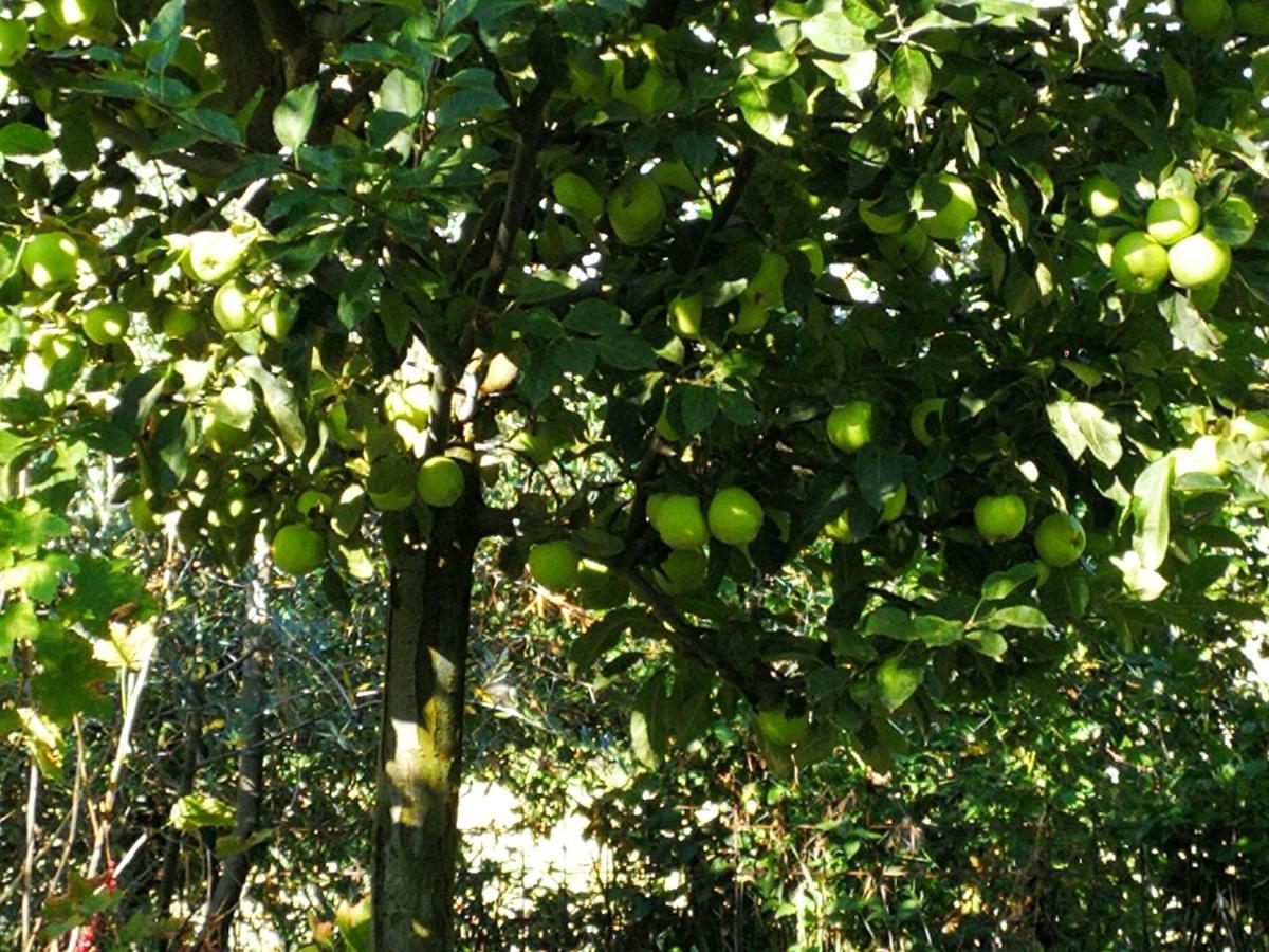 Agriturismo I Roseti Montepulciano Ngoại thất bức ảnh